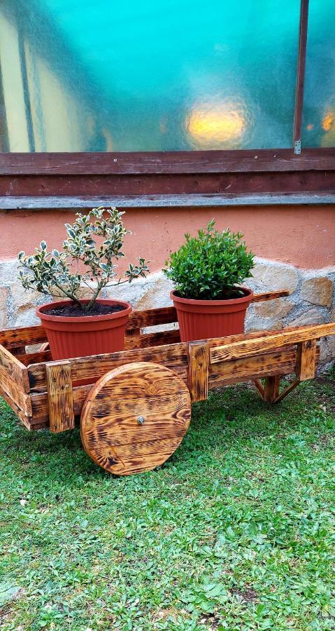 Bed And Breakfast Monticelli Capranica ภายนอก รูปภาพ